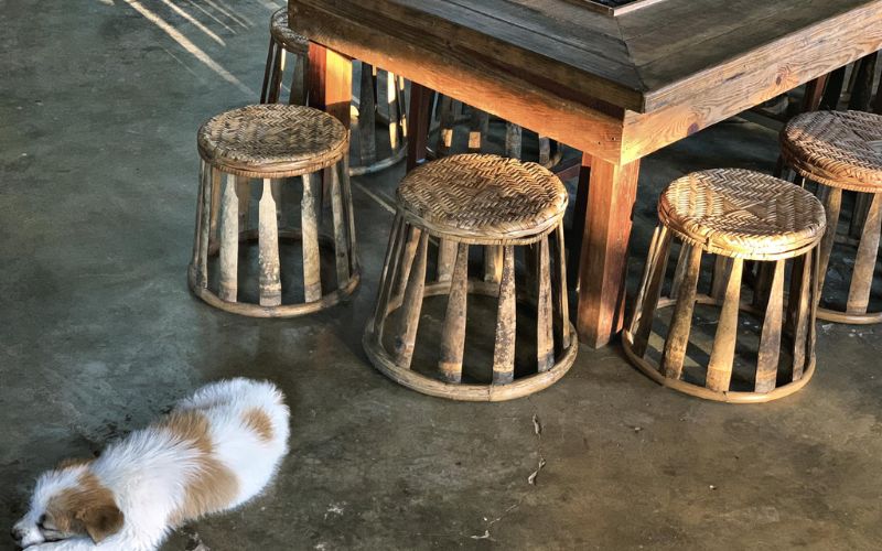 Vật liệu sử dụng