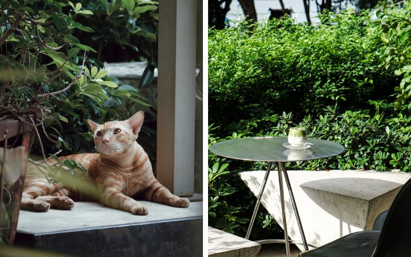 Thiết kế ánh sáng nhiều lớp, thay đổi theo khung giờ