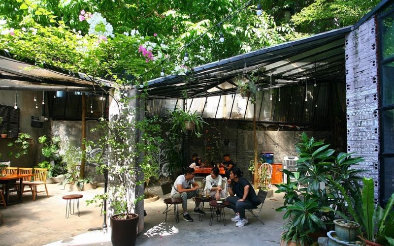 Xem xét ánh sáng và thông gió trước khi trồng