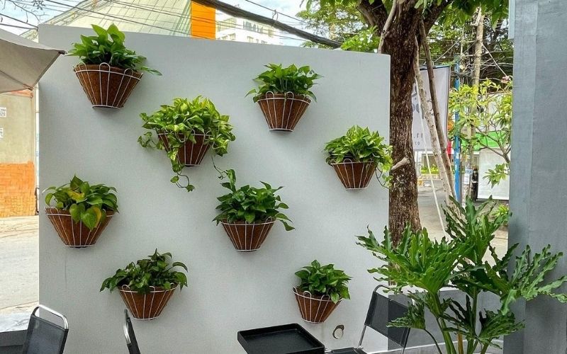 Giải pháp thiết kế quán cà phê ngân sách thấp nhưng hiệu quả cao