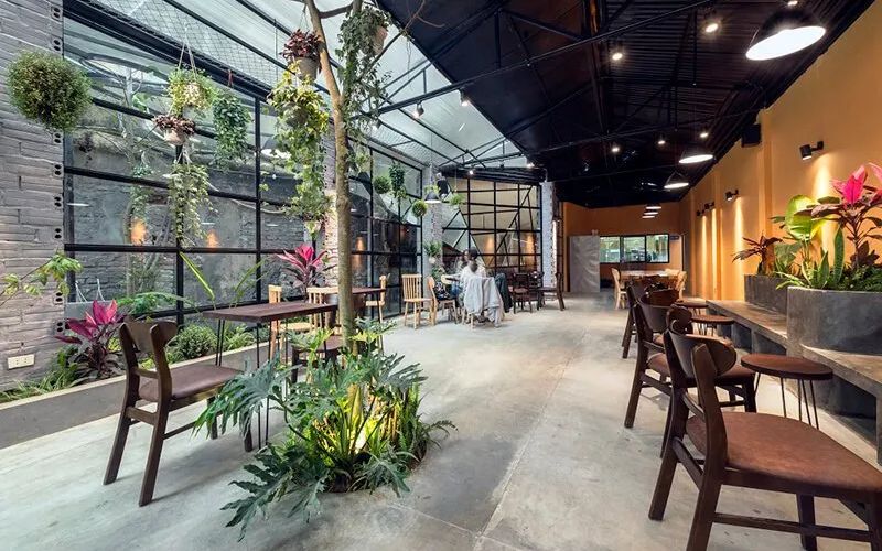 Cafe sân vườn kết hợp nhà ở 