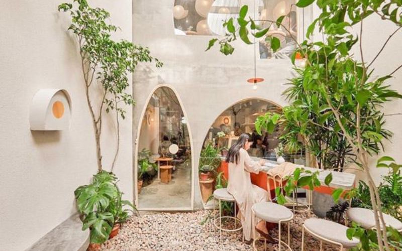 Cách trang trí cây xanh phù hợp cho từng khu vực trong quán cafe? 