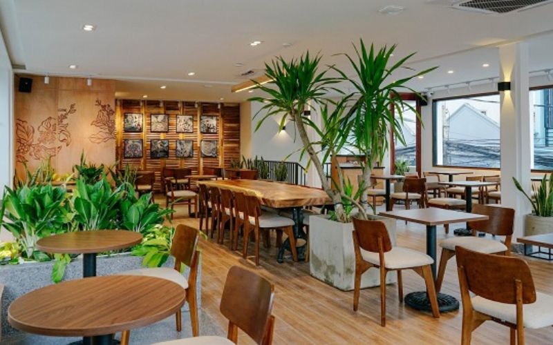 cách trang trí cây xanh khu vực bàn khách