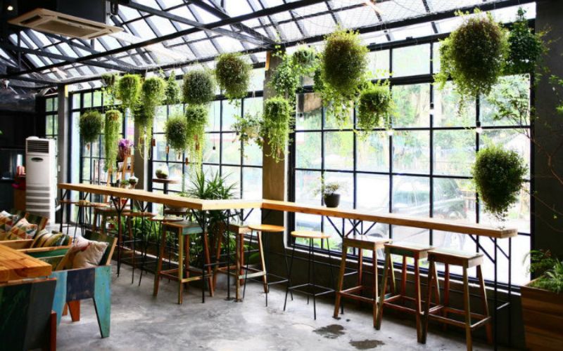 Khu vực cửa kính và gần ánh sáng tự nhiên 