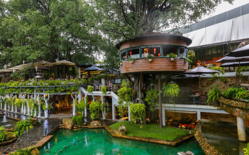 Khu vực cửa kính và gần ánh sáng tự nhiên 