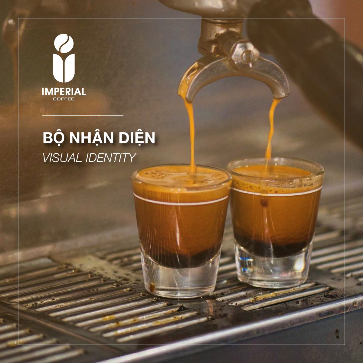 Thiết kế bộ nhận diện thương hiệu IMPERIAL 