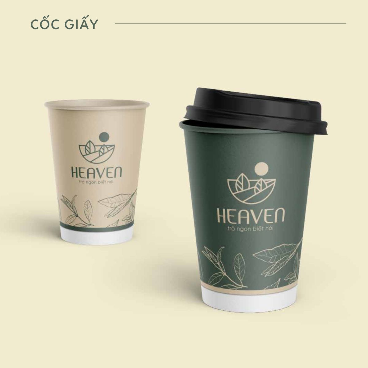 Thiết kế cốc giấy và cốc nhựa