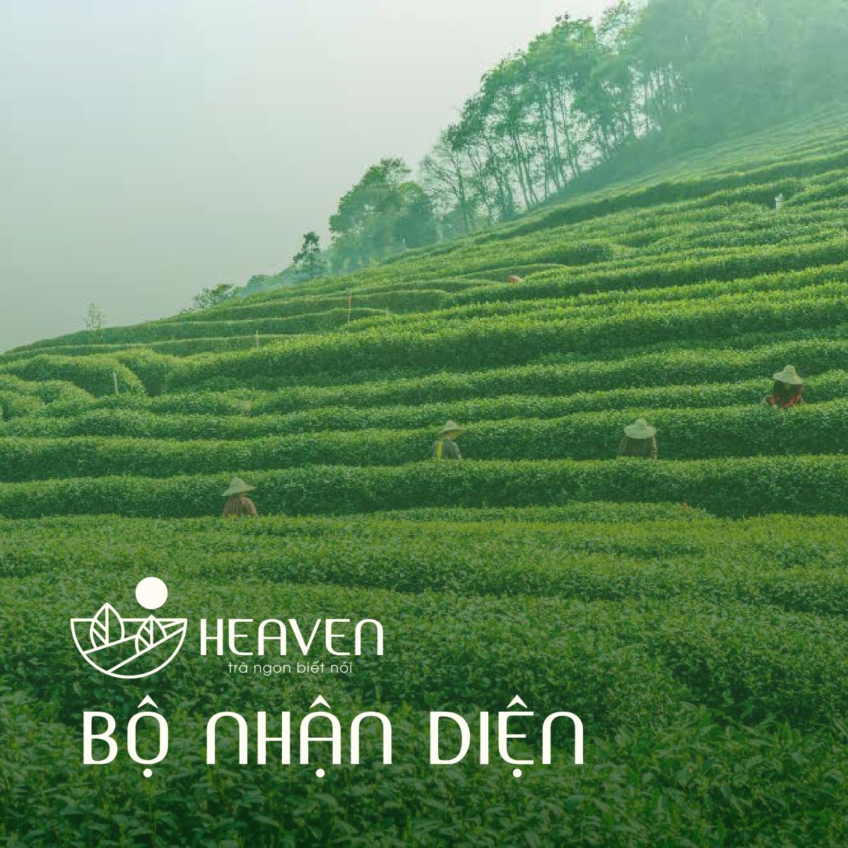Thiết kế bộ nhận diện thương hiệu HEAVEN 