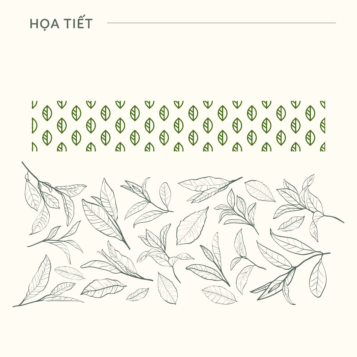 Thiết kế bộ nhận diện thương hiệu HEAVEN