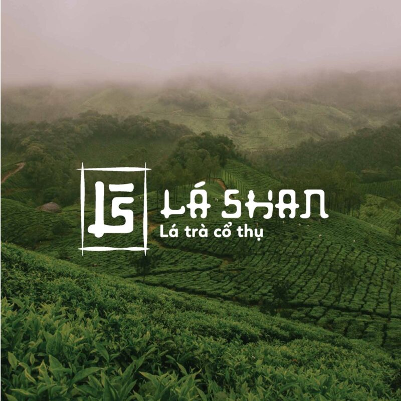 Dự án thiết kế bộ nhận diện thương hiệu cho Lá Shan