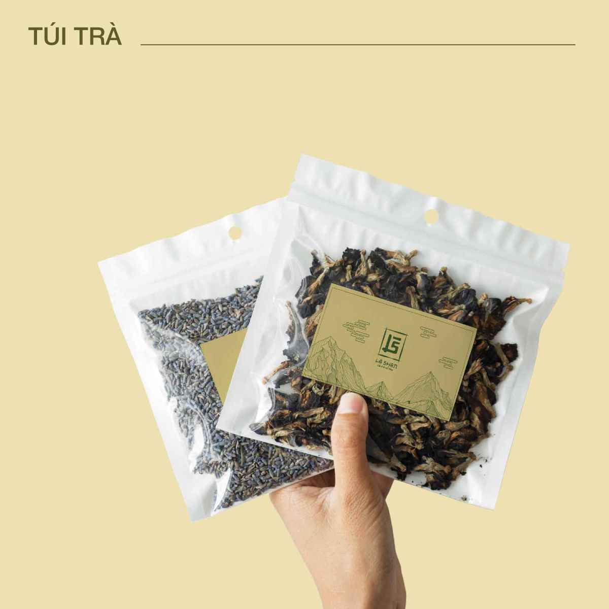 Dự án thiết kế bộ nhận diện thương hiệu cho Lá Shan