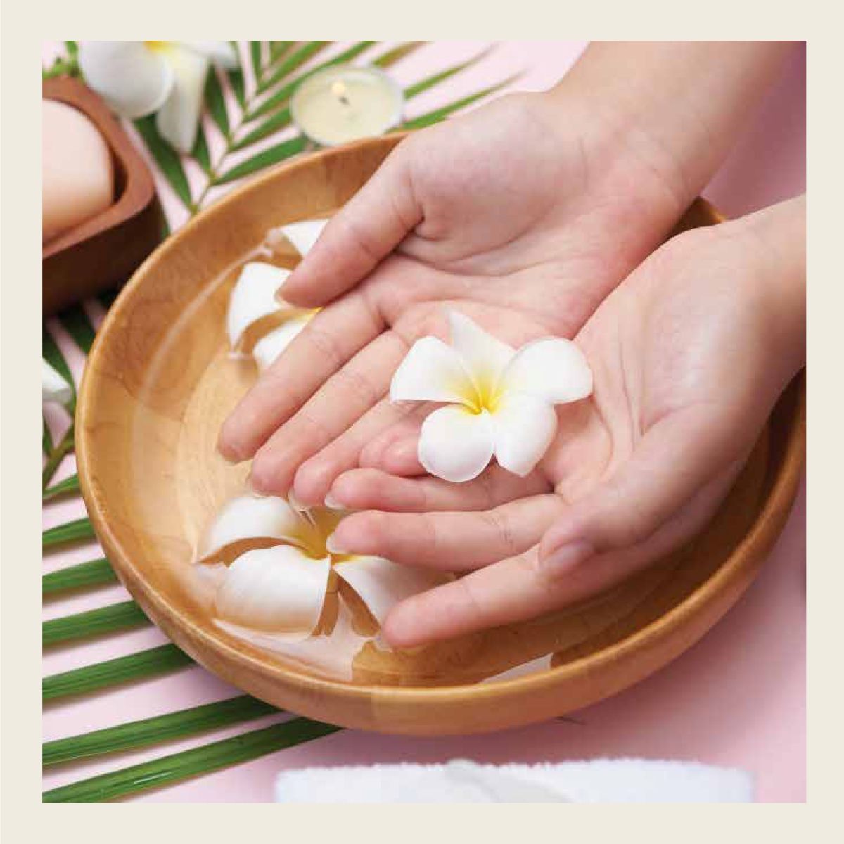 Thiết kế bộ nhận diện thương hiệu THANH HÀ 