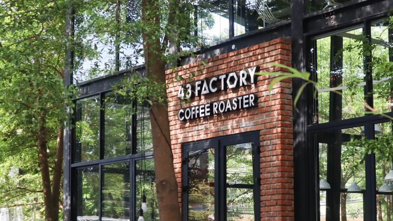 specialty coffee